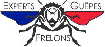 expert-guepe-frelon-chenille-retina